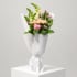 Daily Bouquet - blush roses and cloud-white snaps