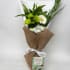 Daily Bouquet — Romantic Florals with Dark Mint Indulgence