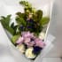 Daily Bouquet — Roses, Snapdragons & Refined Charm