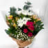 Daily Bouquet Blushing Rustic Romance Posy