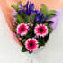 Daily Bouquet Radiant Elegance in Bloom