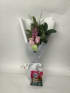 Daily Bouquet - Blush, bloom, biscuit