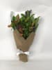 Daily Bouquet 28 Oct, 2025