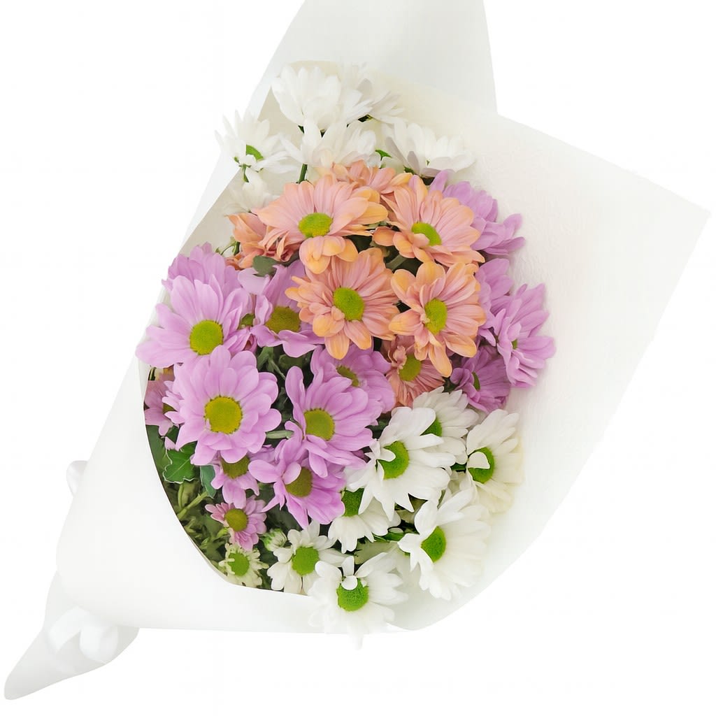 Mixed Pastels Chrysanthemum Bunch