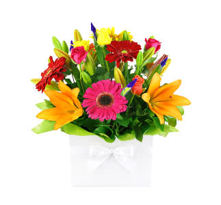 Vivacious Mixed Brights Flower Box