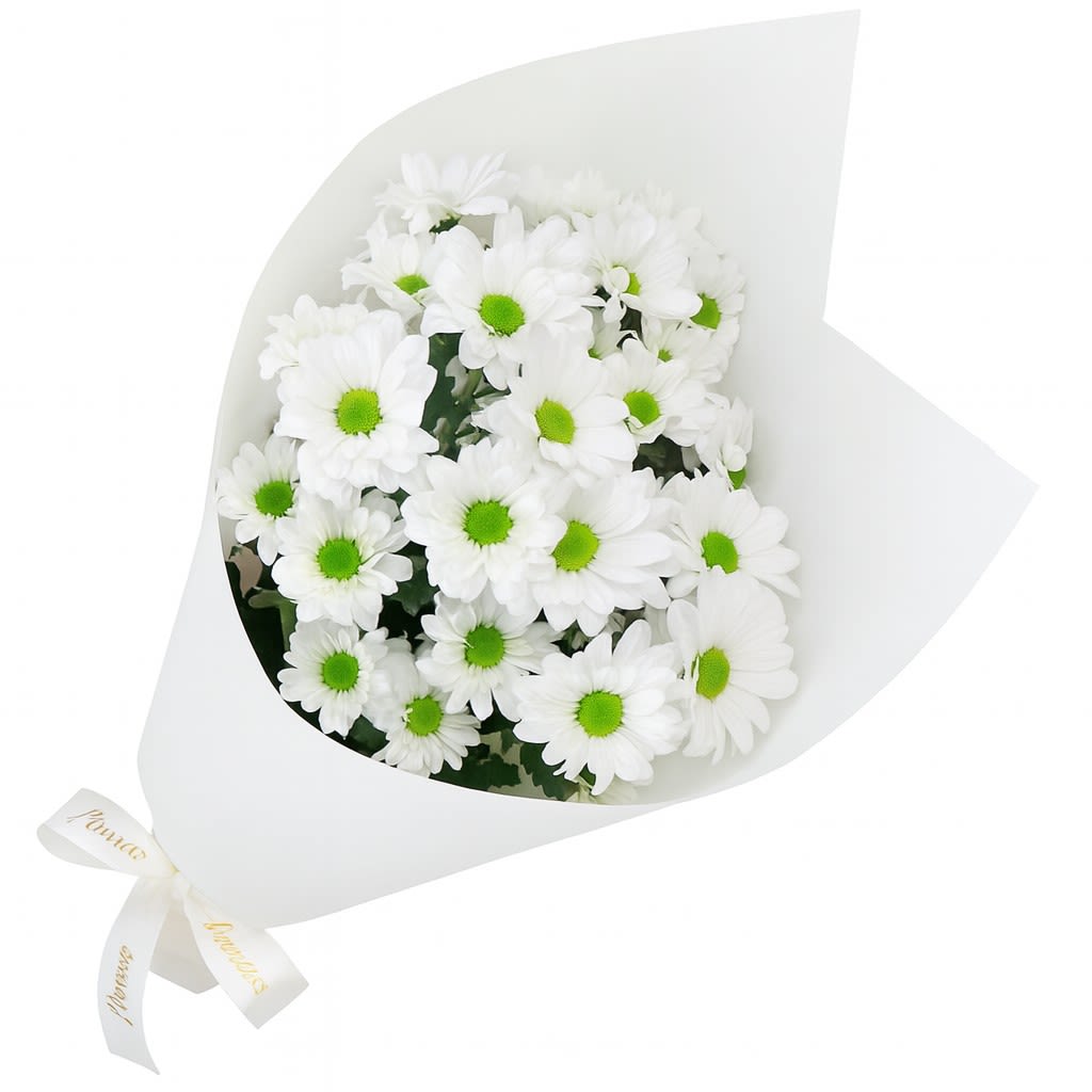 White Chrysanthemum Bunch