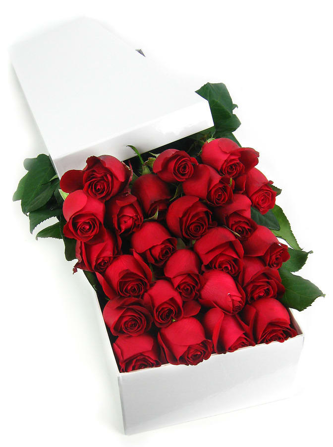 24 Elegant Gift Boxed Roses