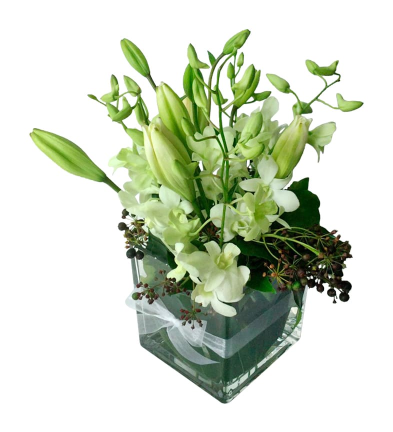 Sweet Sophistication Elegant White Square Vase