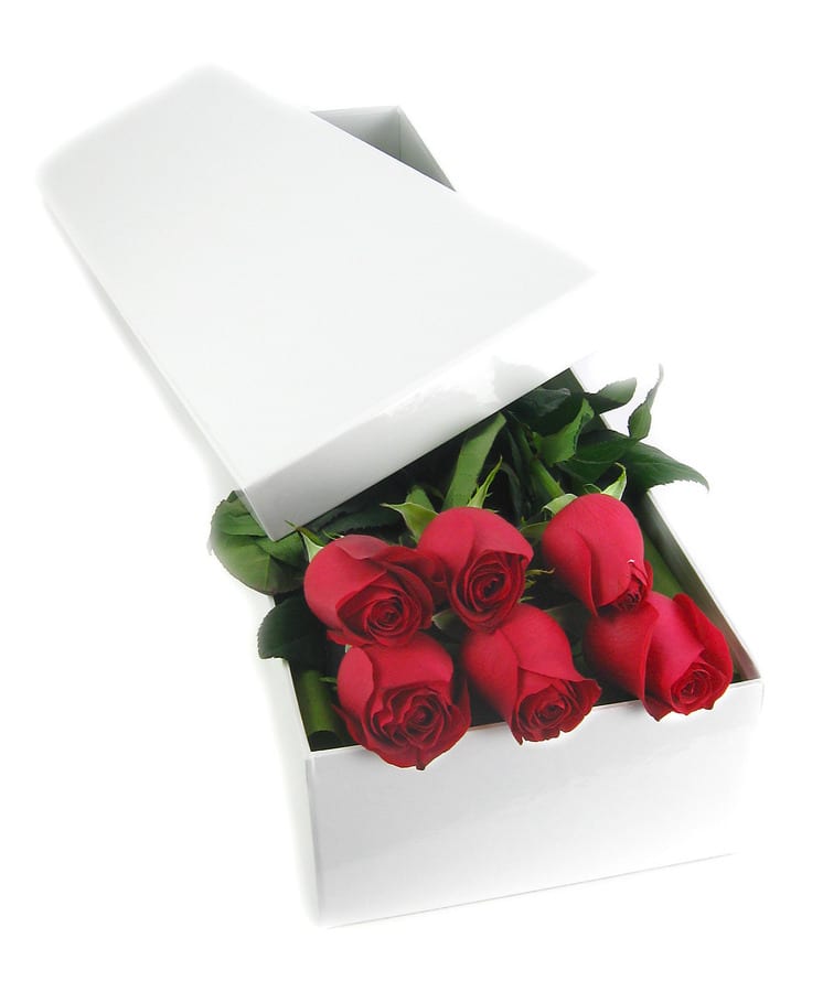 Elegant Gift Boxed Roses