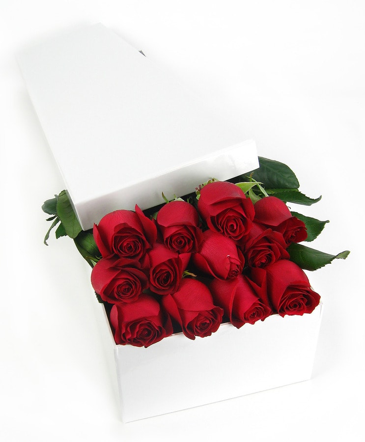 12 Elegant Gift Boxed Roses