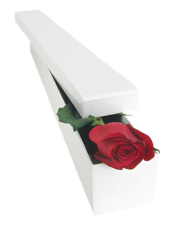 Single Elegant Rose Box