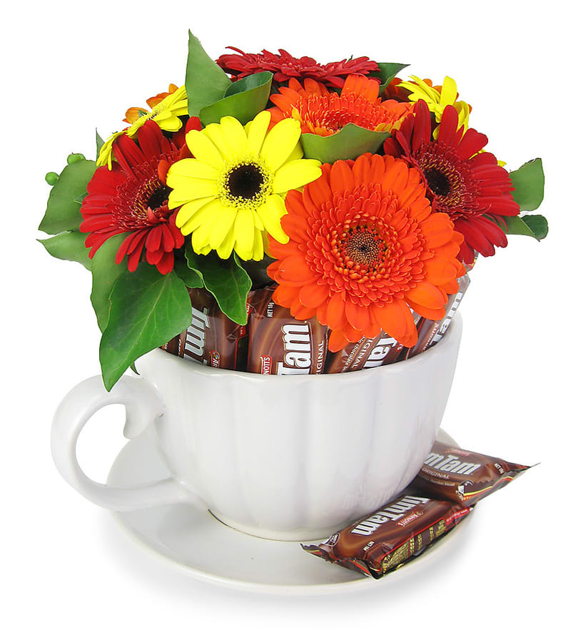 Tea Time Ceramic Teacup With Tim Tams