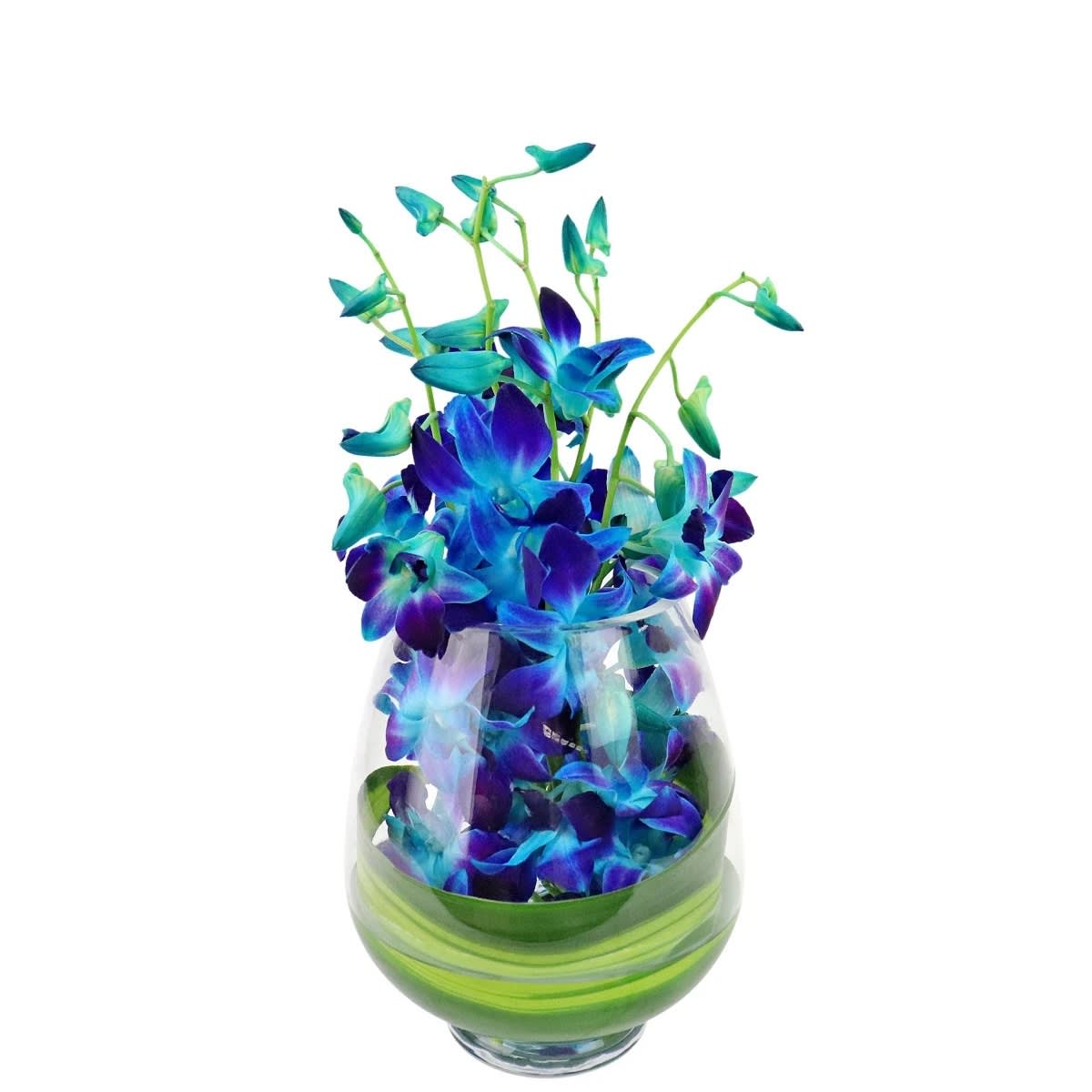Blue Elegant Orchid Vase Arrangement