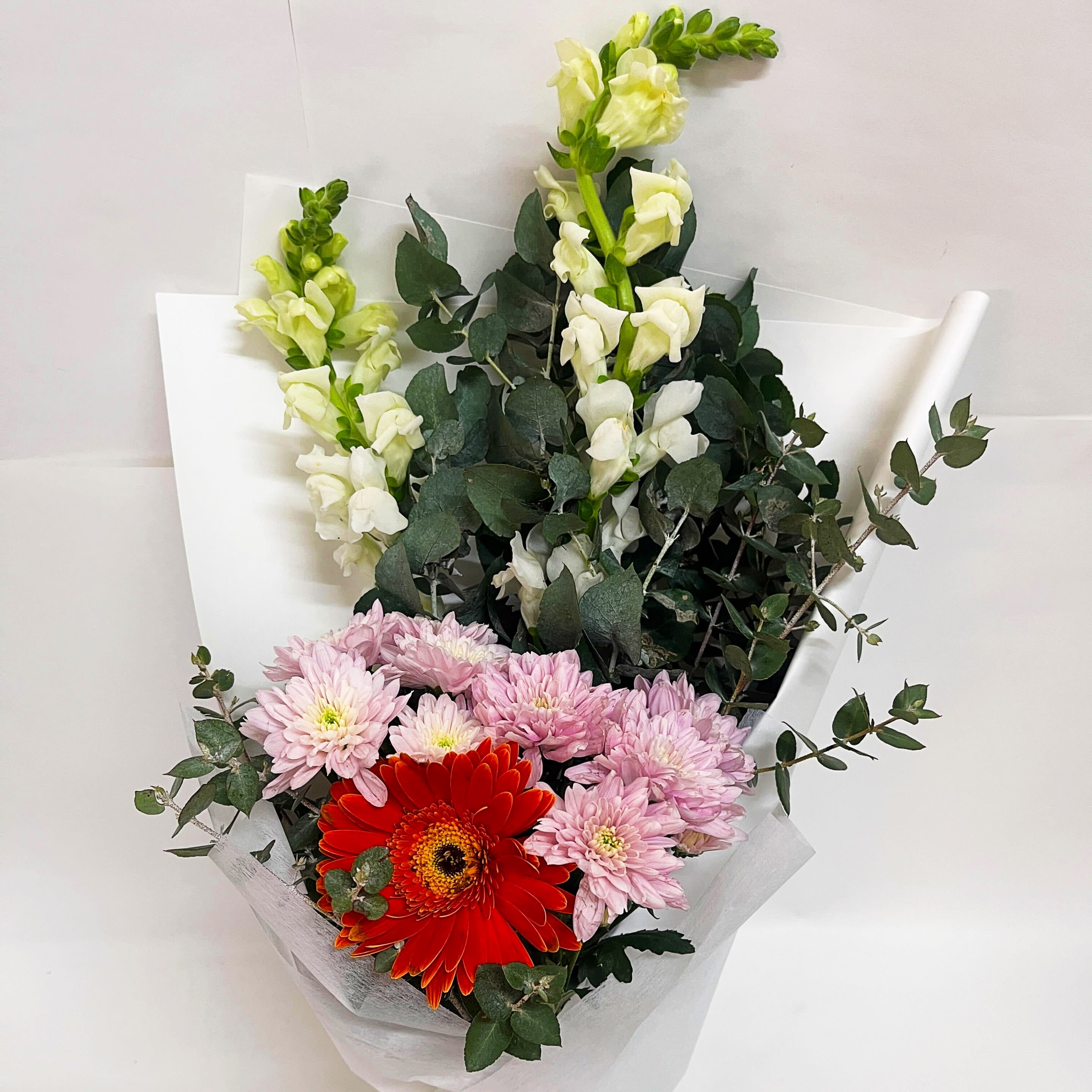Daily Bouquet — Gerbera, Snapdragons & Enduring Beauty