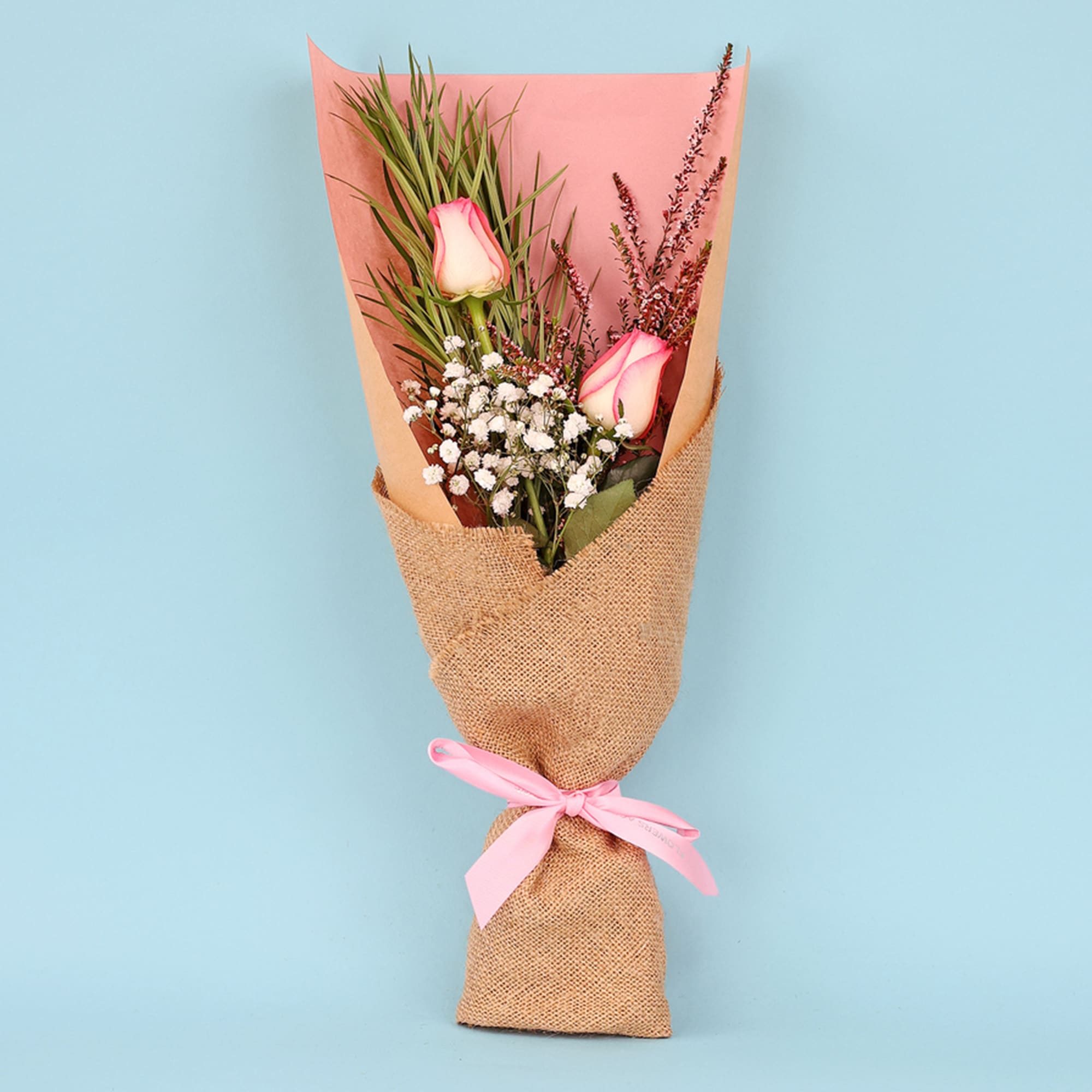 Pink Double Delight Roses