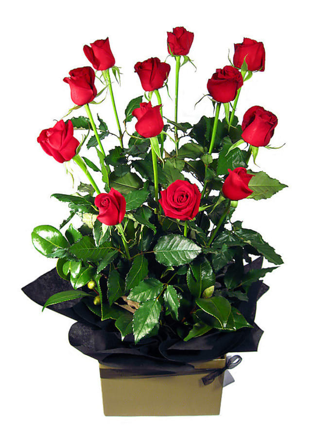 Red Rose Presentation Box