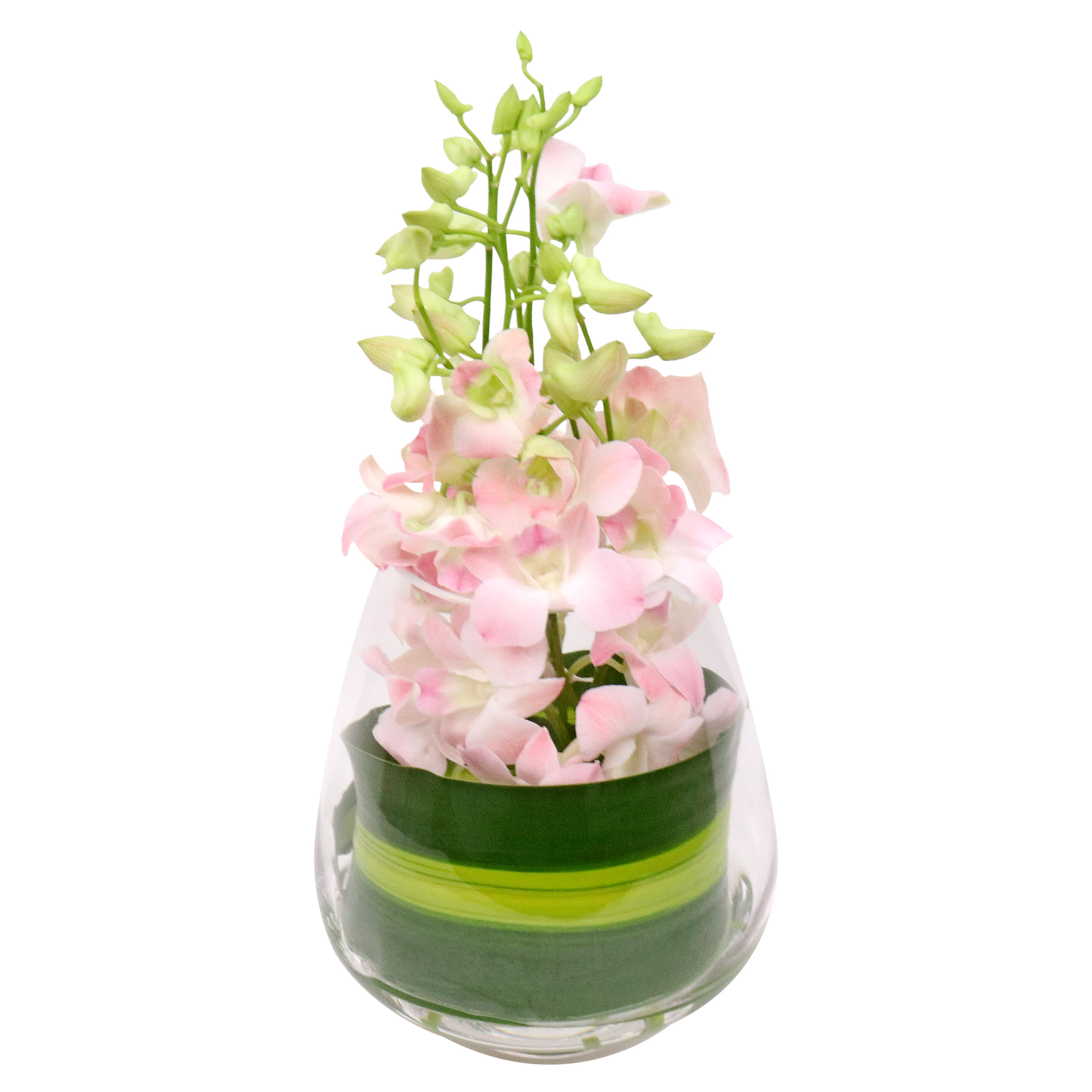 Soft Pink Elegant Orchid Vase