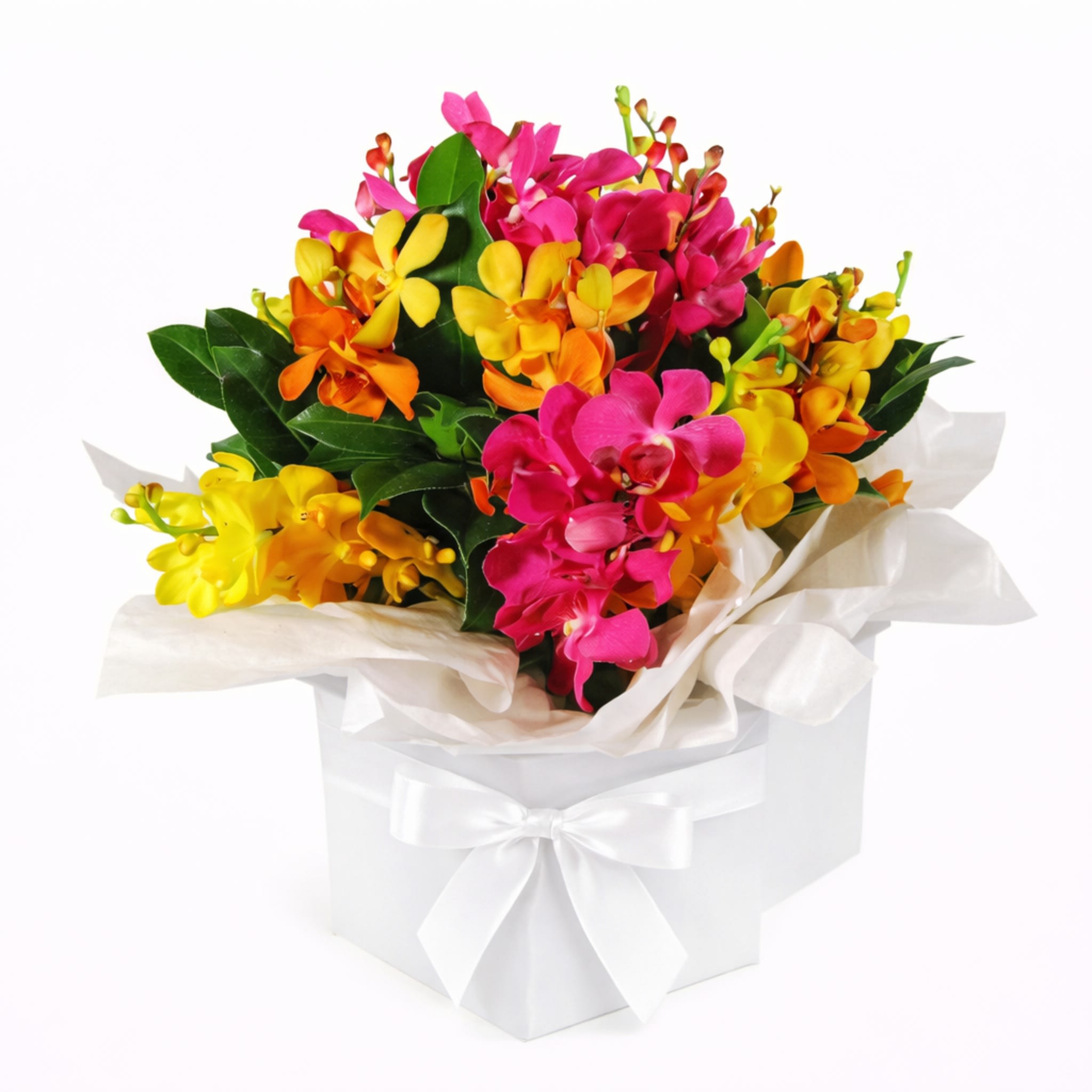 Kaleidoscope Orchid Flower Box