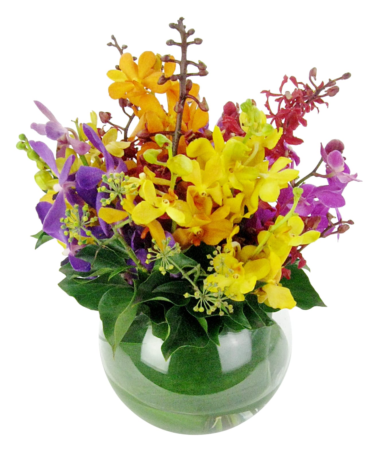 Orchid Fish Bowl Flower Arrangement