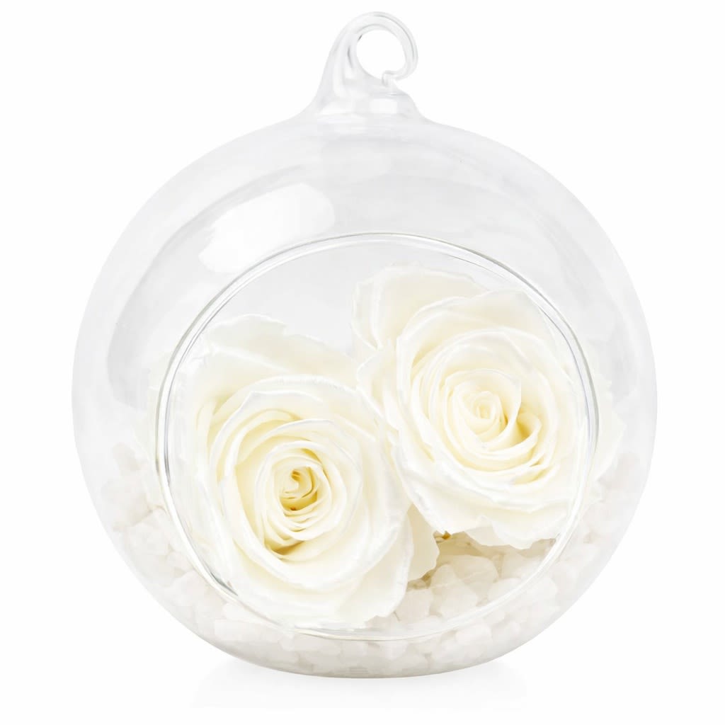 Preserved White Rose Orb