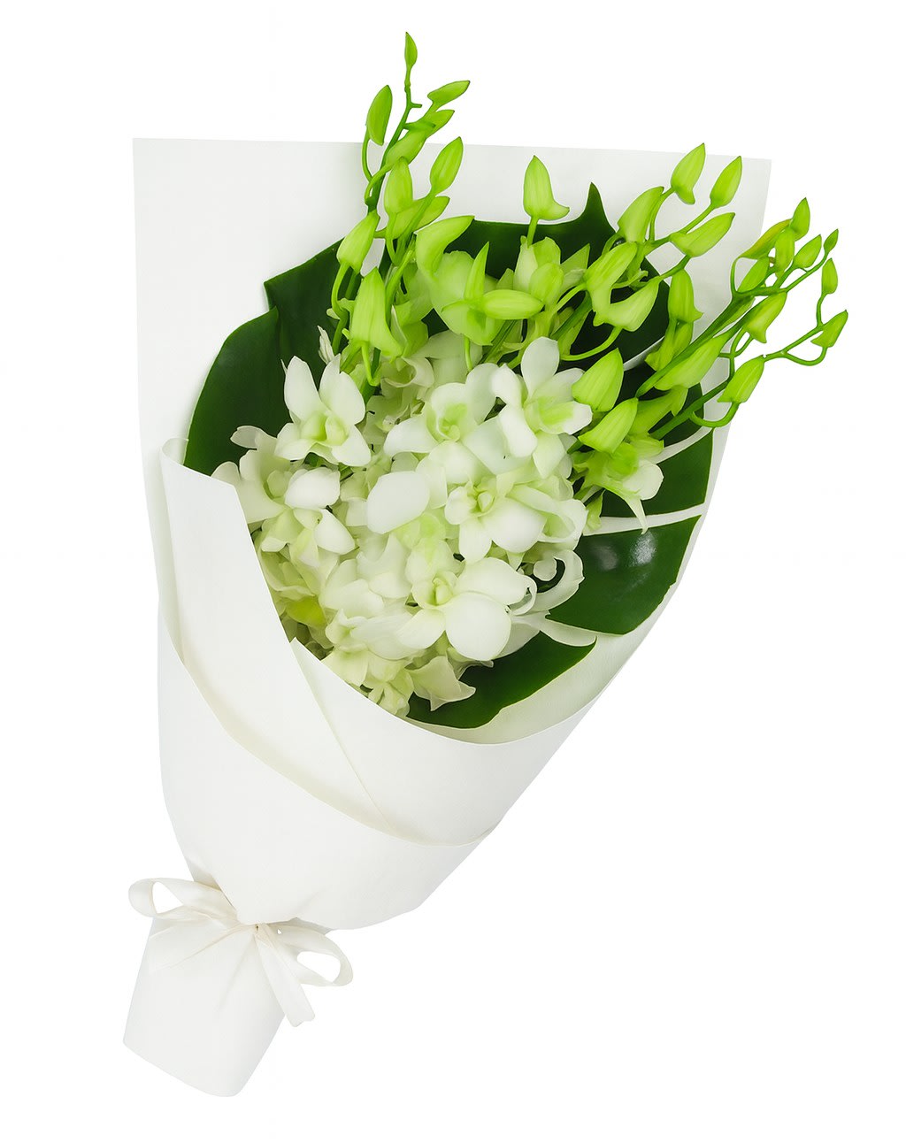 White Orchid Bunch