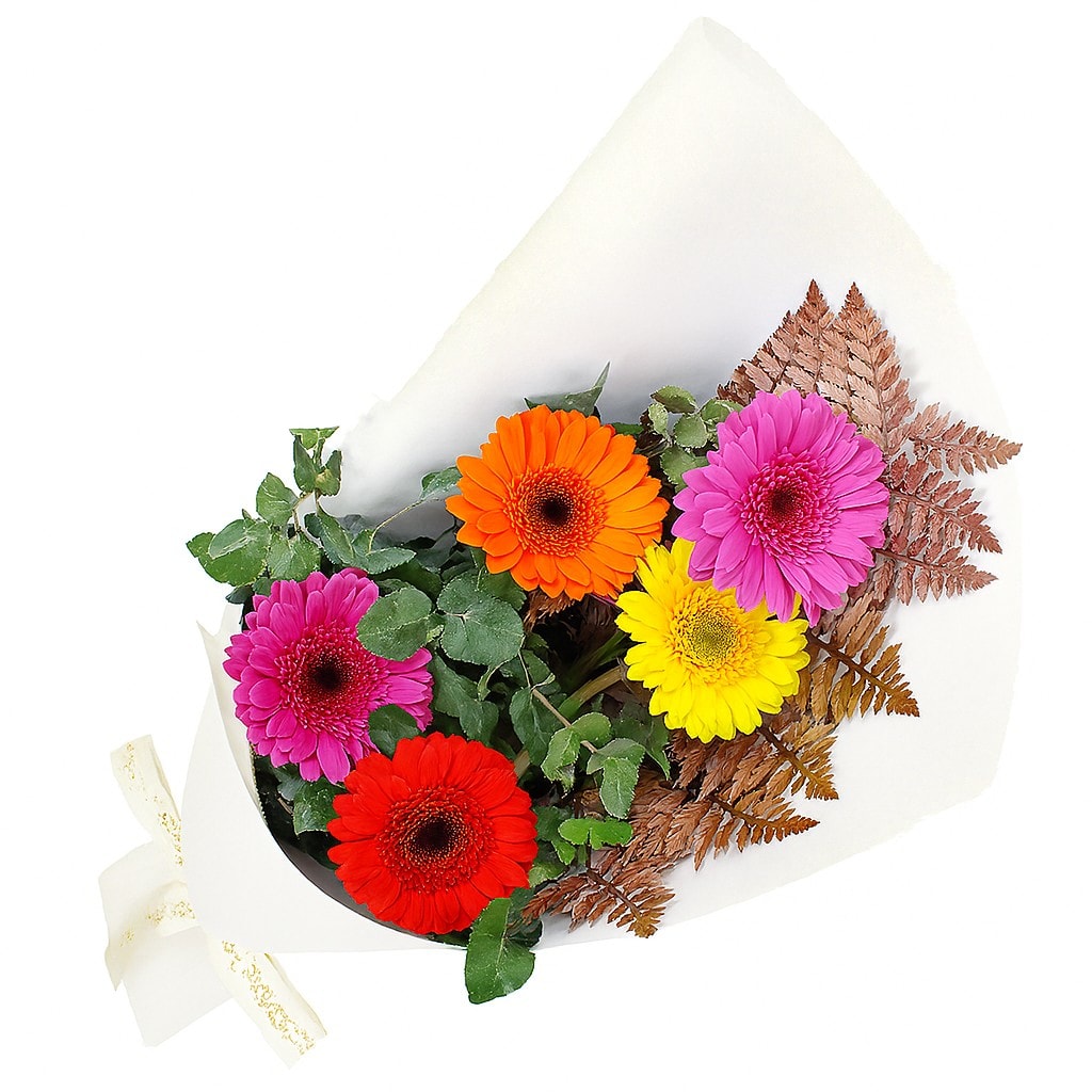 Mini Gerbera Gems Posy
