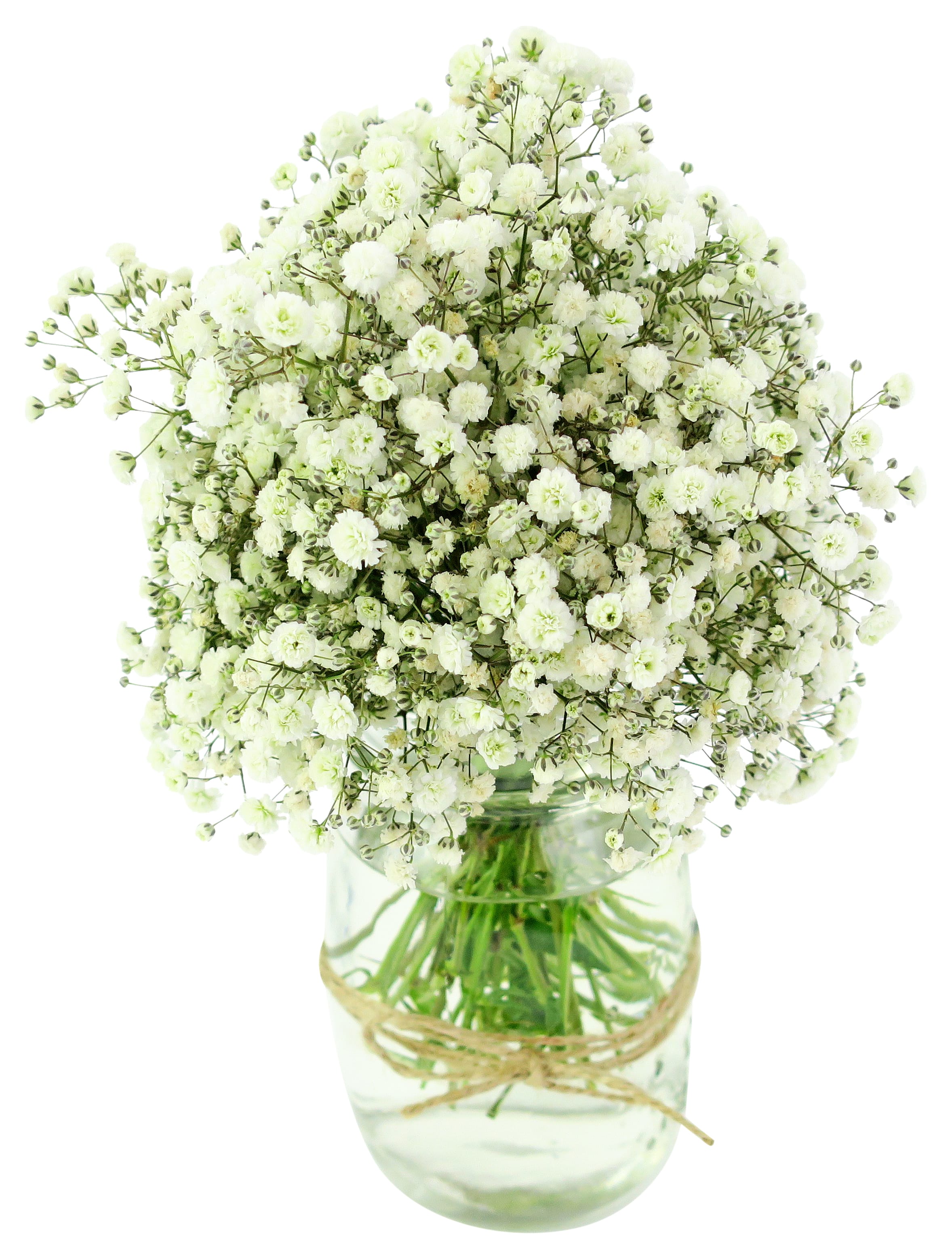 Snowfall White Mason Jar Vase