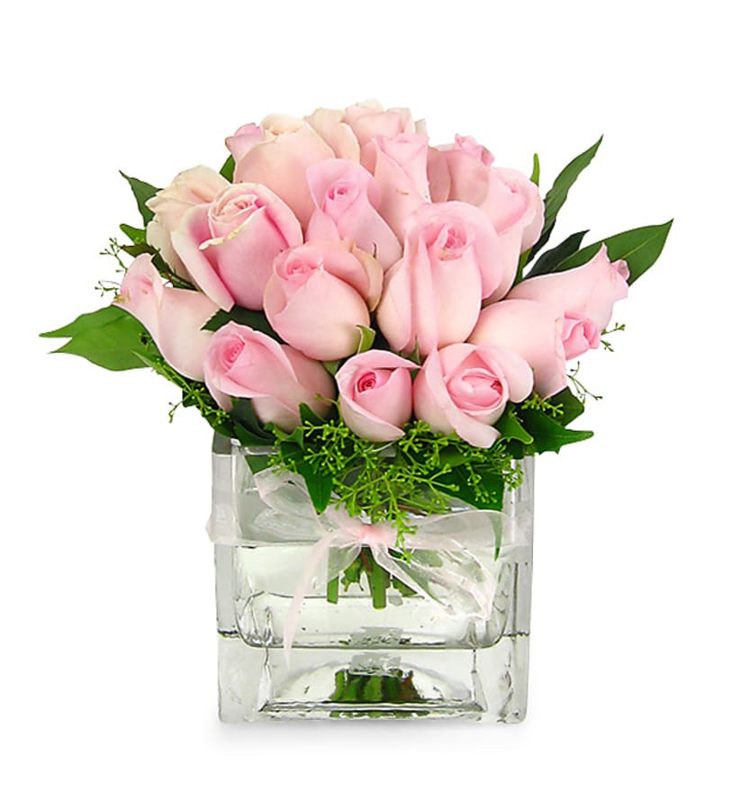 Pink Rose Vase