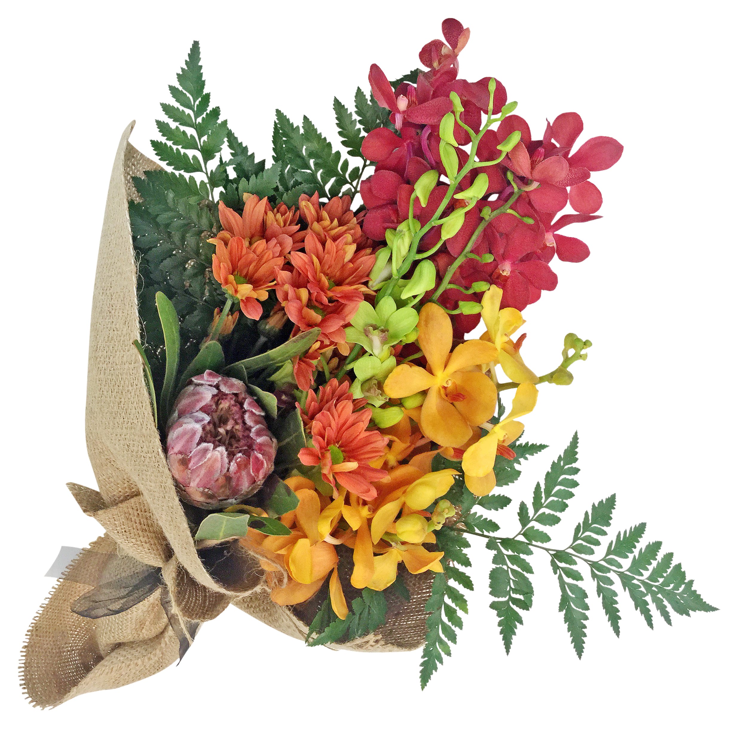 Let’s Run Away Together