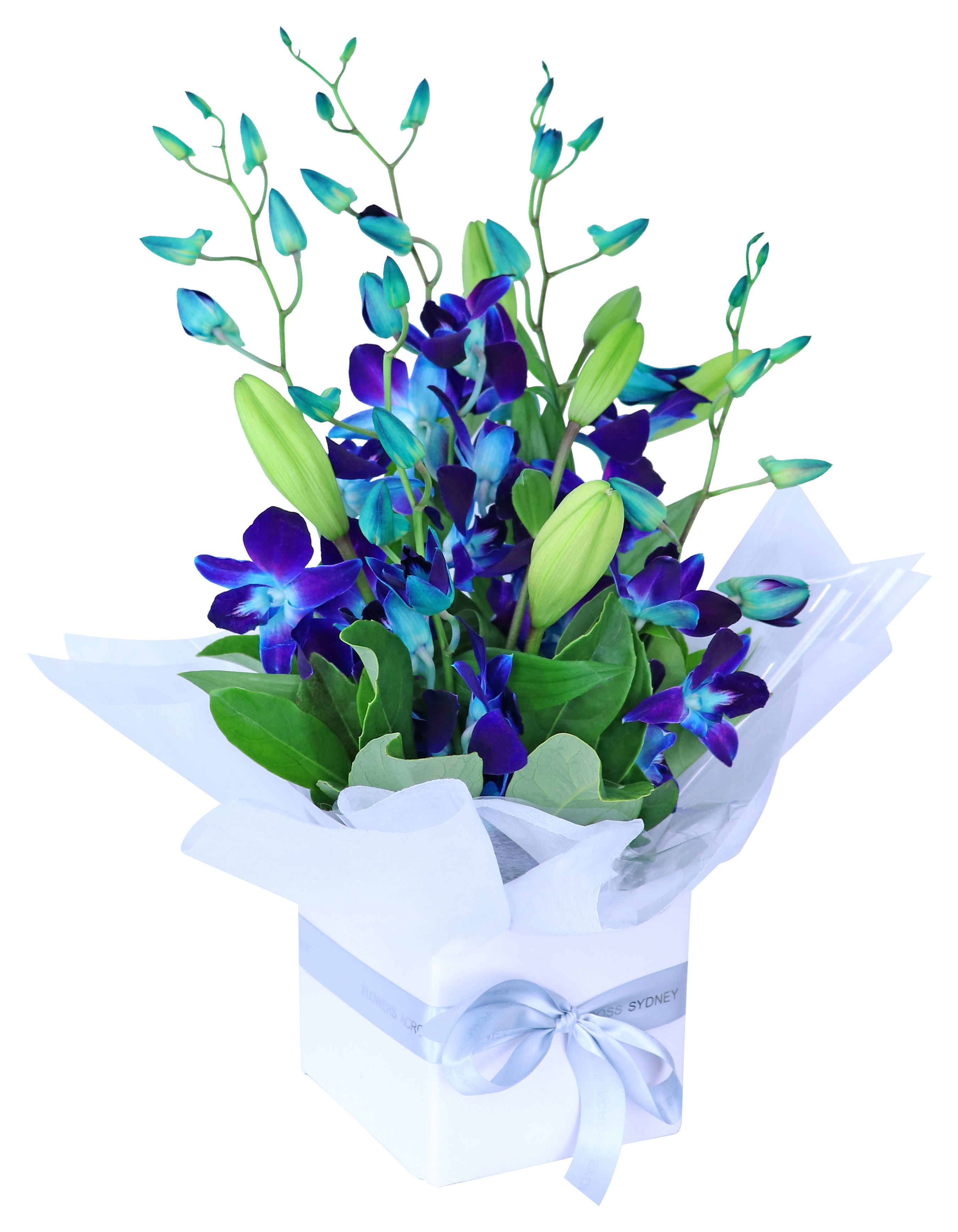 Blue Making Magic Posy Box