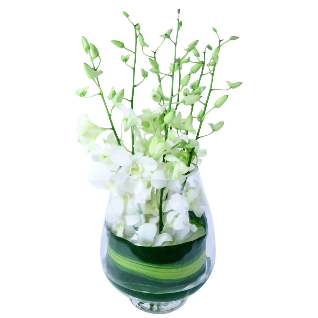 White Elegant Orchid Vase Arrangement