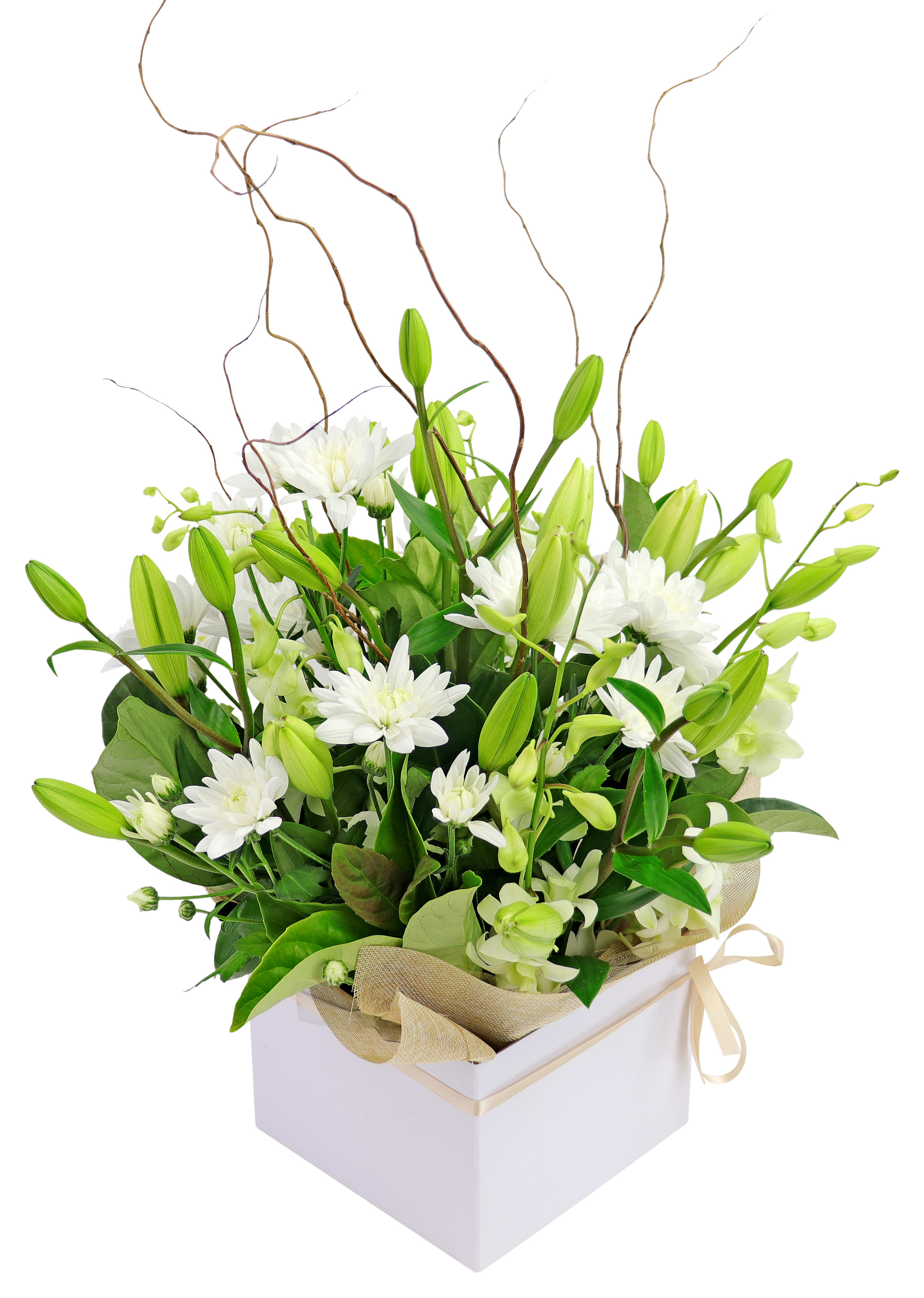 Botanique White Flower Box