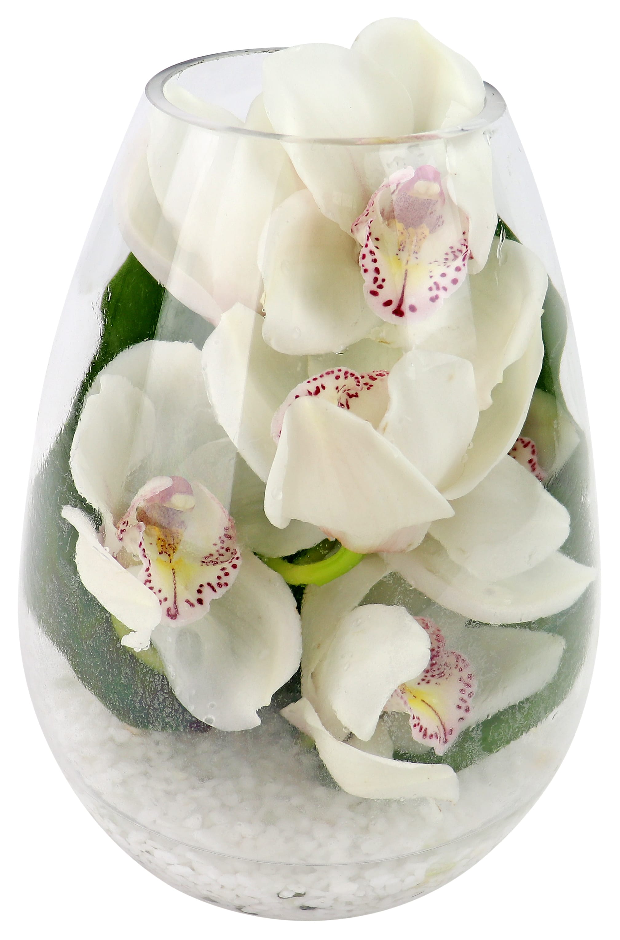 Beauty Beheld Cymbidium Orchid Vase