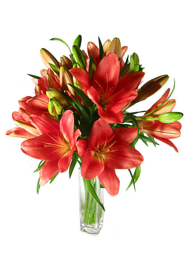 Red Lilies In A Vase