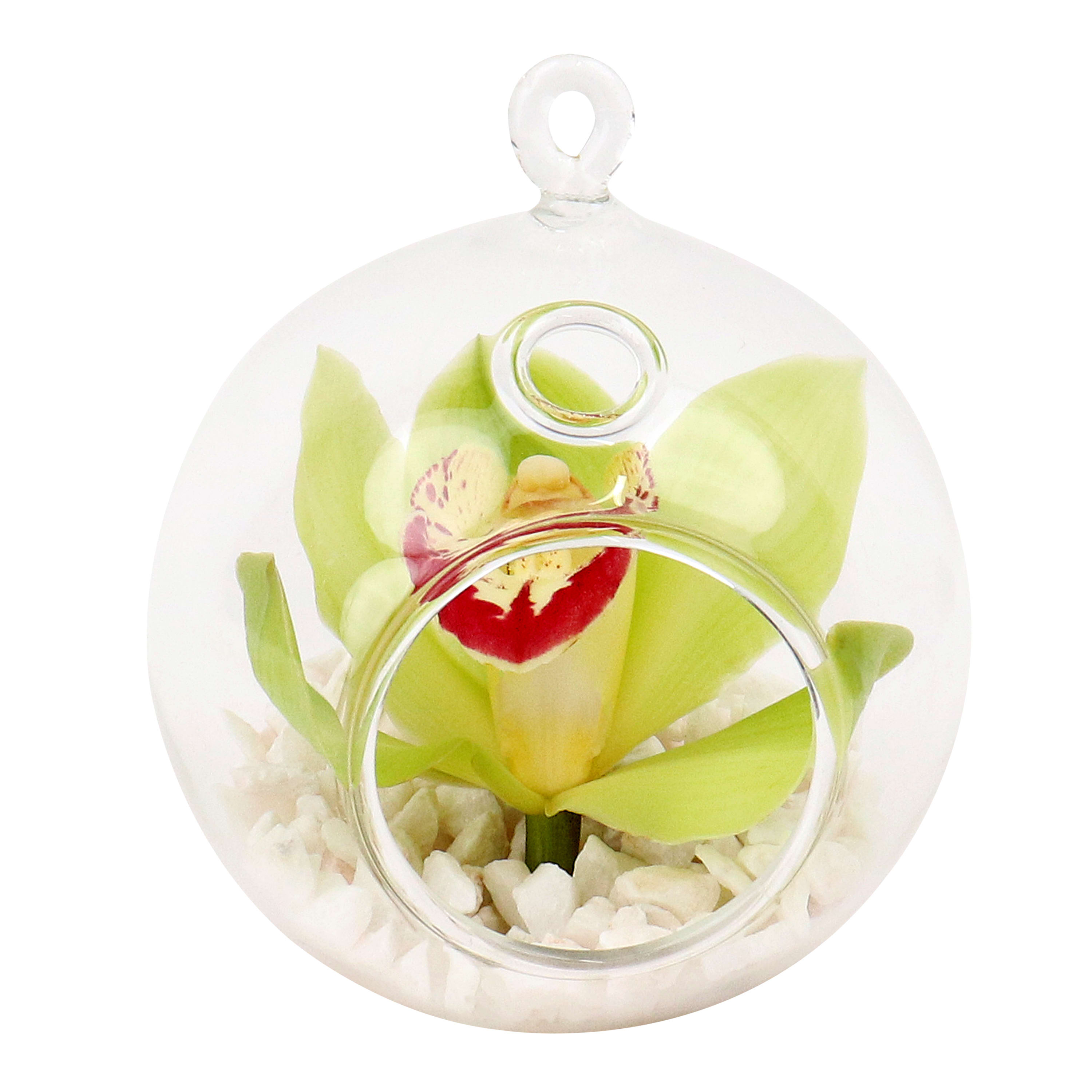 Green Orchid Orb
