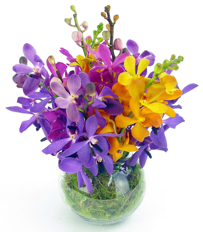 Orchid Fish Bowl Flower Arrangement