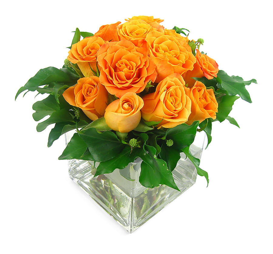 Orange Rose Vase