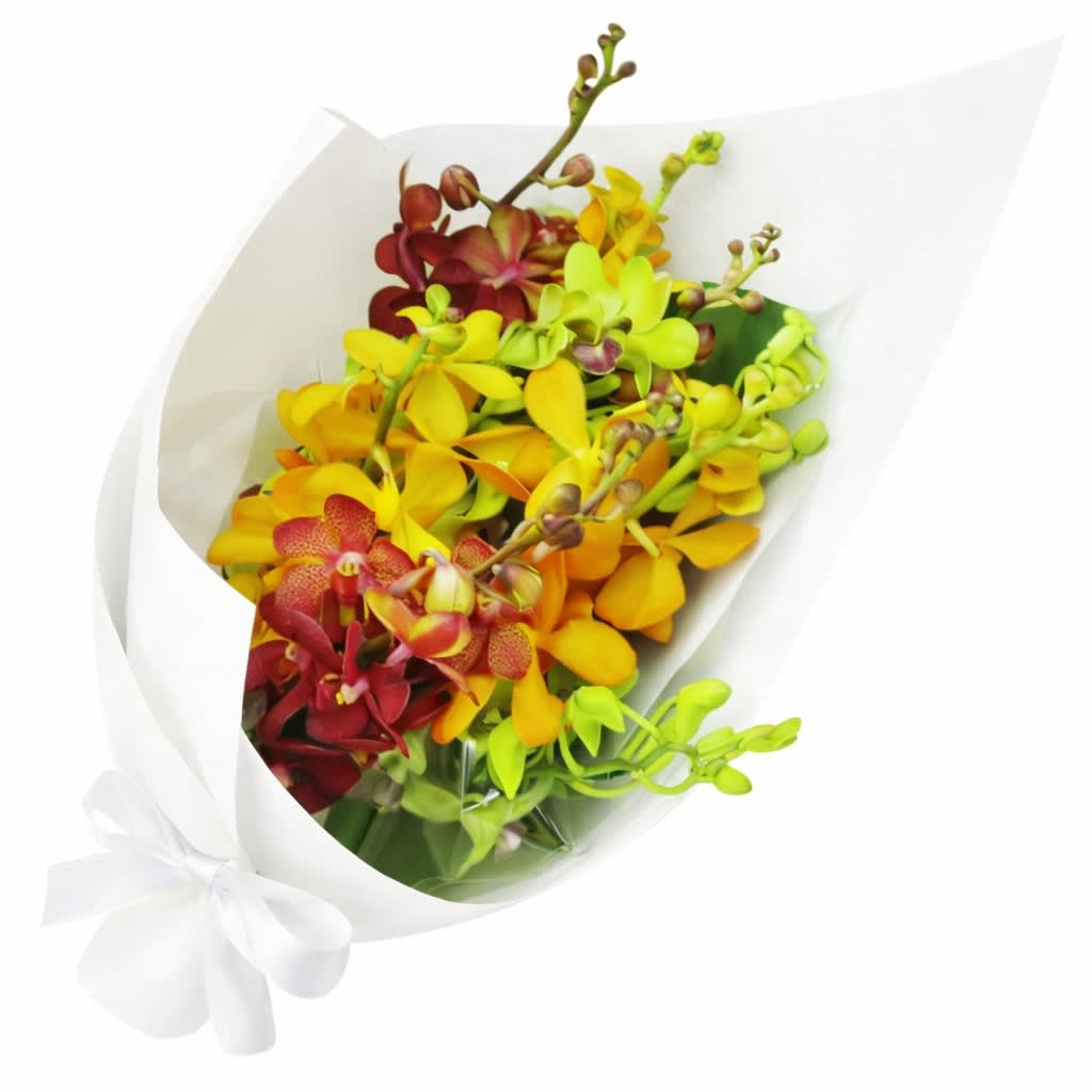 Autumn's Rainbow Orchid Bunch