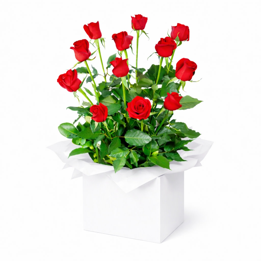 Red Rose Presentation Box