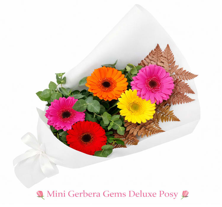 Mini Gerbera Gems Posy