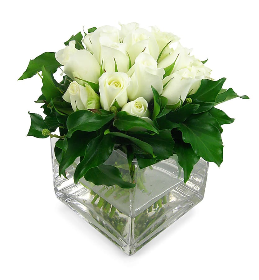 White Rose Vase
