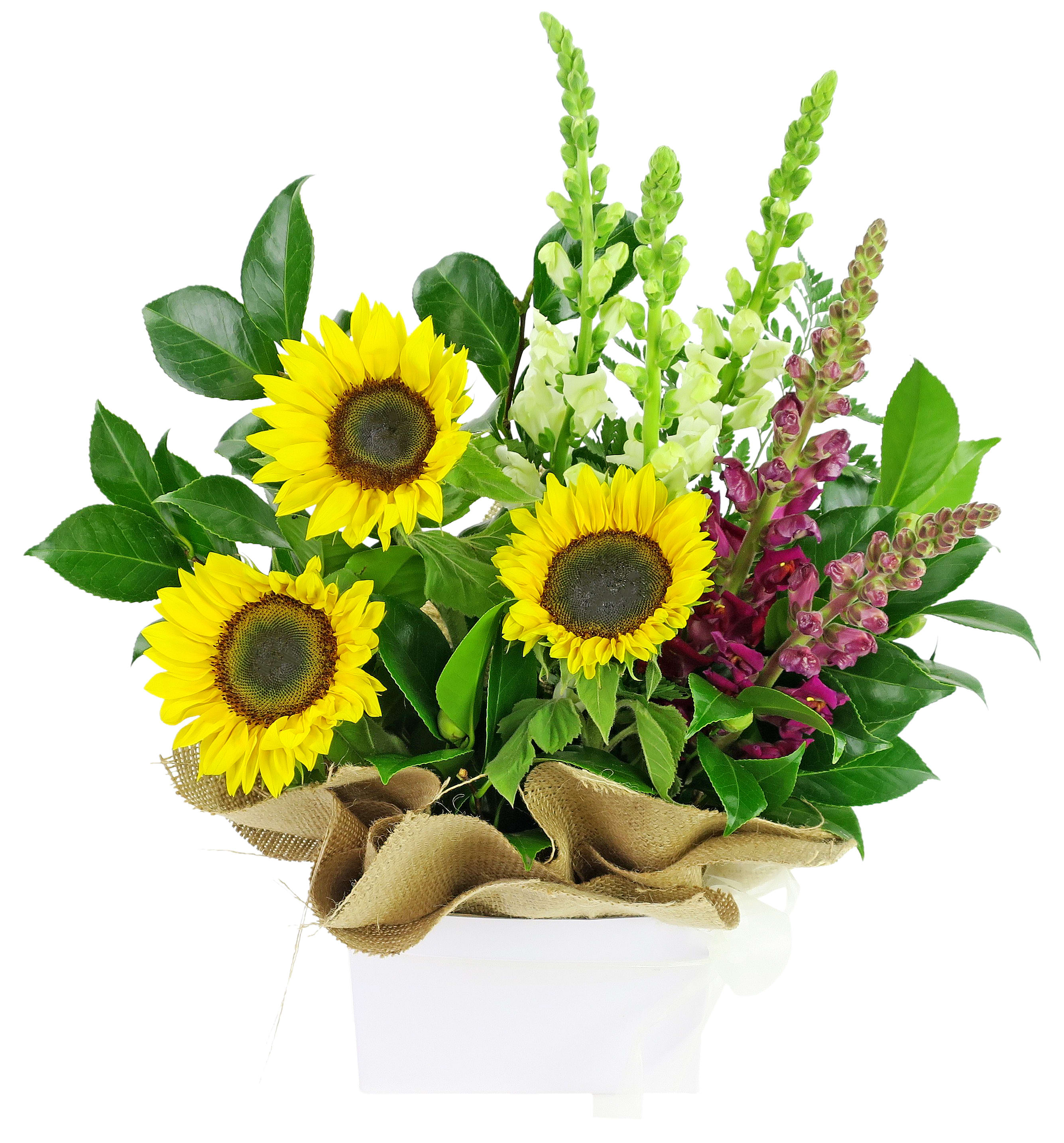 Gardenside Flower Box