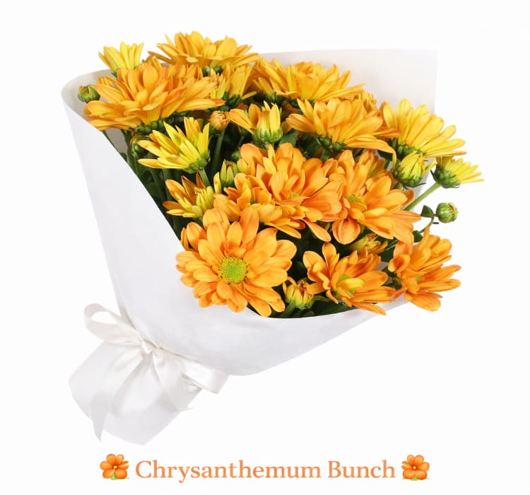 Chrysanthemum Bunch