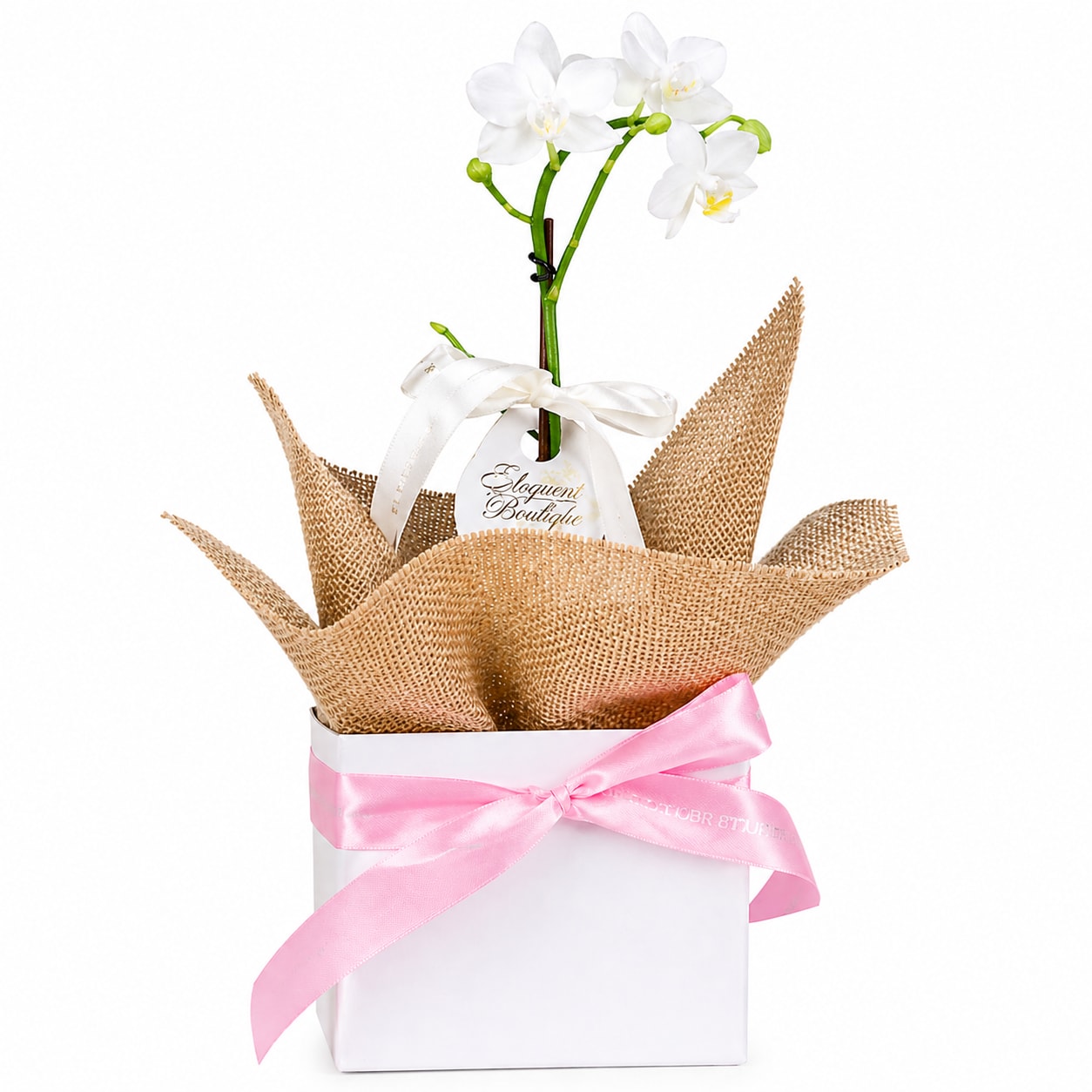 Gift Boxed Orchid Gem