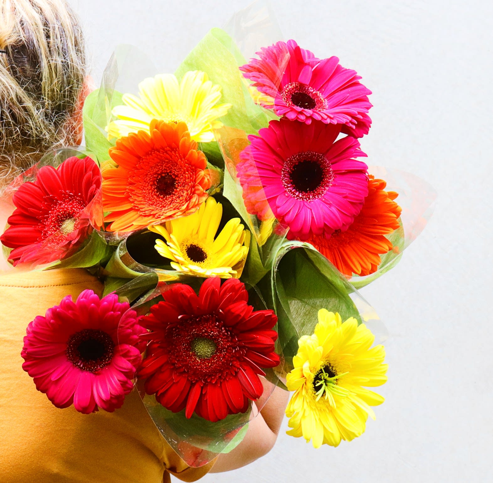 Wrapped Stems   Gerberas