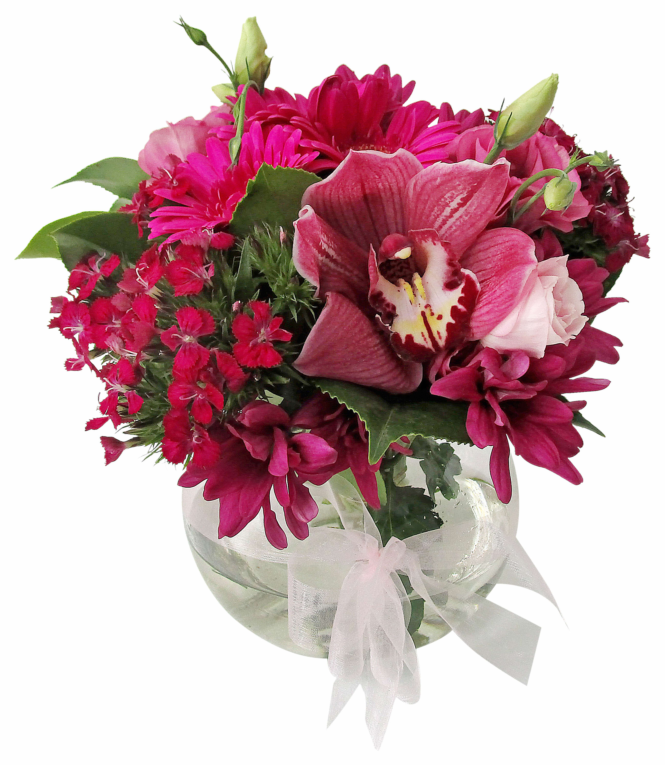 Expressive Glass Fish Bowl Arrangement