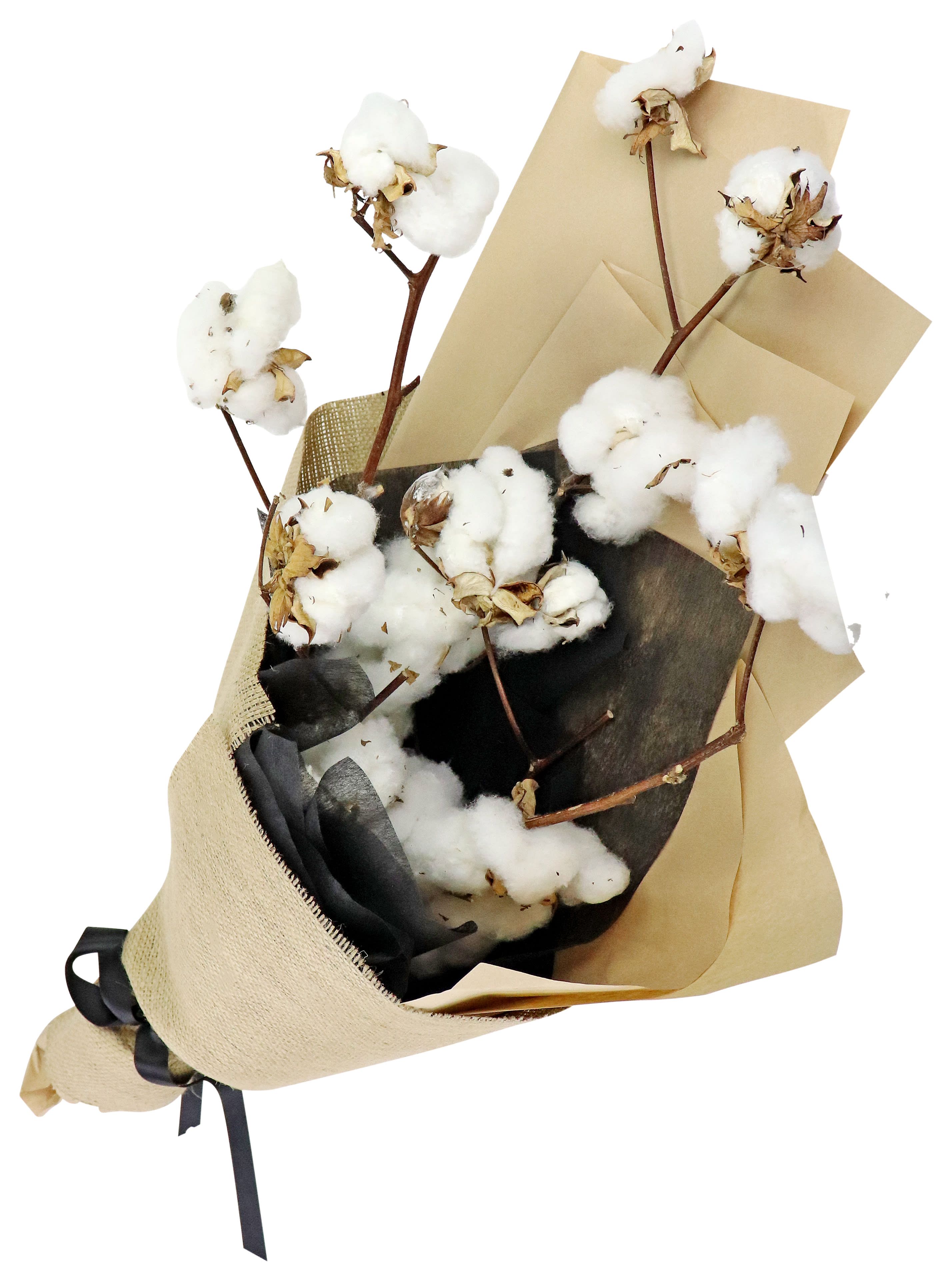 Cloud Cotton Preserved Bouquet