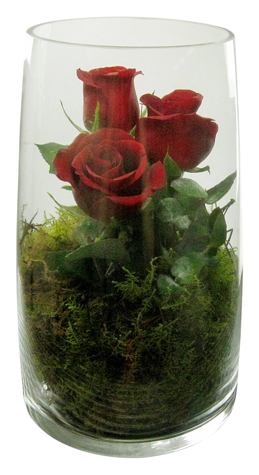 Under Your Spell Rose Glass Vase