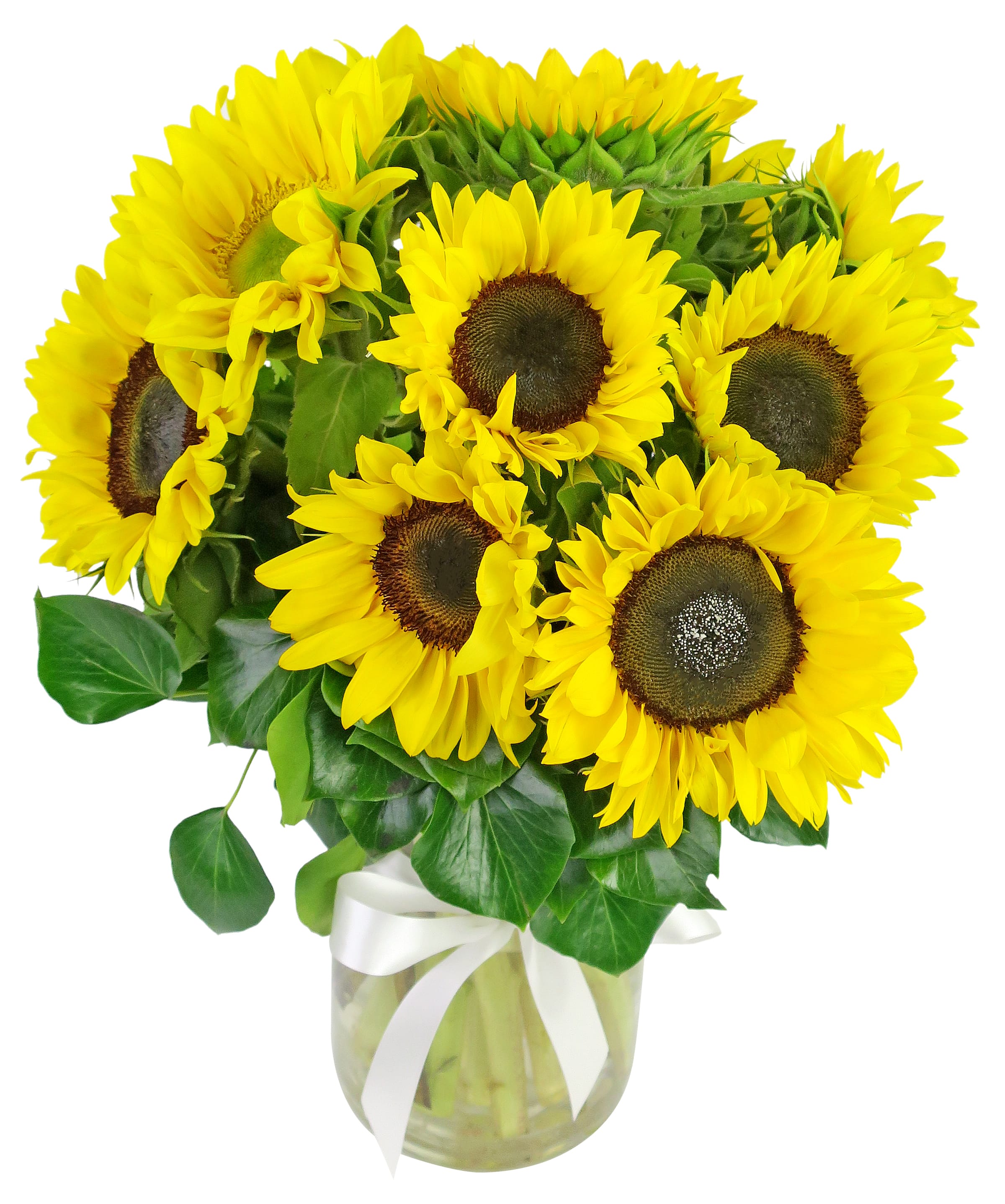 Sunflowers In A Vase