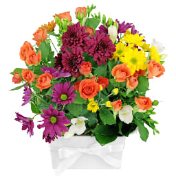 Autumn's Rich Pageant Box